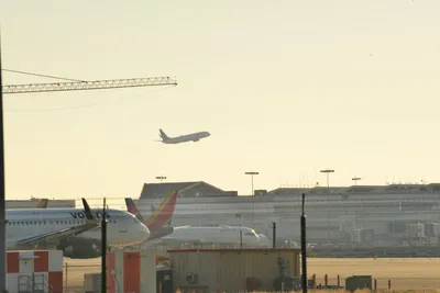 DSC_5664 (Large).JPG